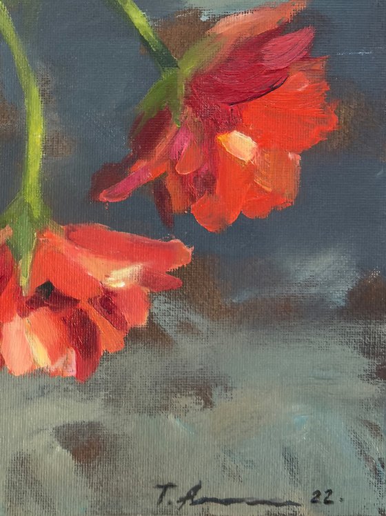 Red Tulips