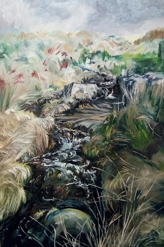 Dartmoor Stream