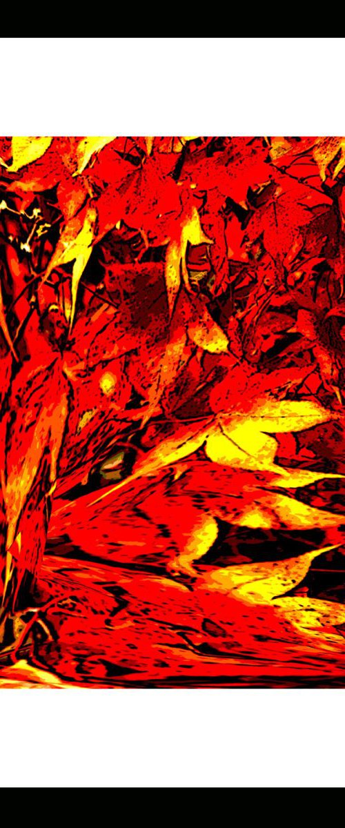 Natural Abstracts - Autumn Leaves number 1 by Ken Skehan