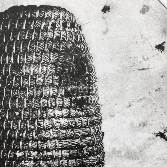 Hive No.4
