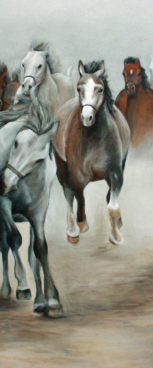 Arabian horses by Jennie Smallenbroek