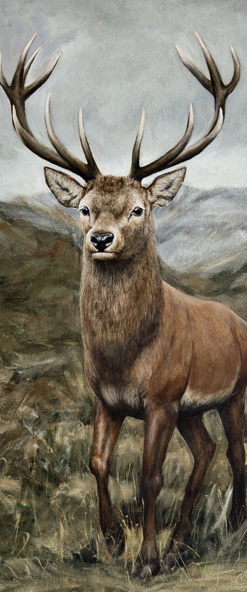 Deer by Elena Adele Dmitrenko