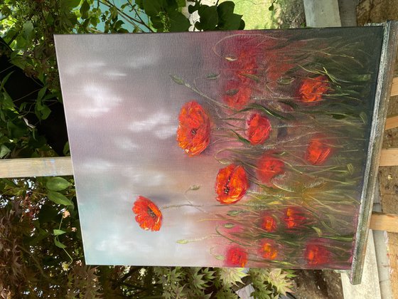 Red poppies for heart and soul