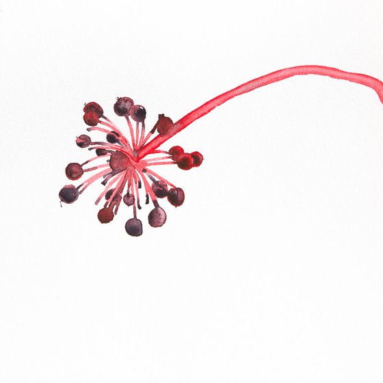 Umbrella leaf; Seeds series
