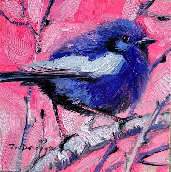 Blue bird picture frame White-winged Fairy-wren bird oil painting original 4x4