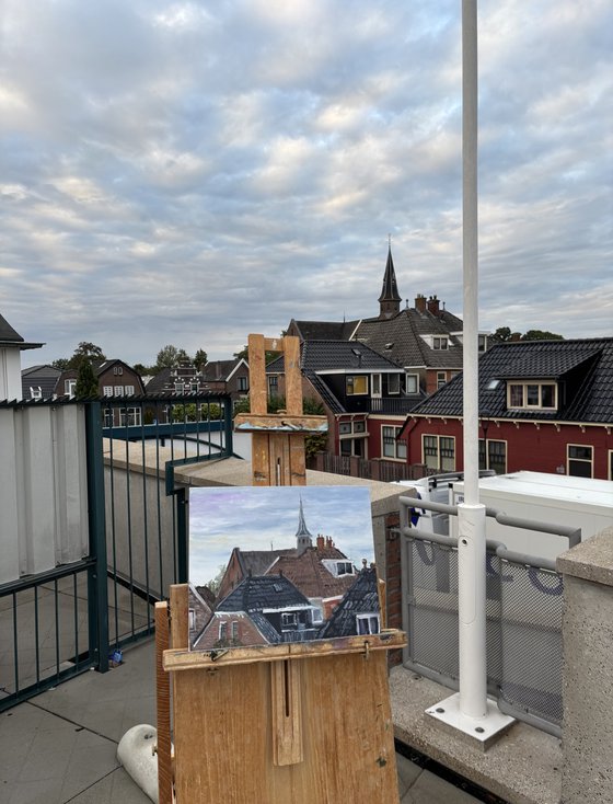 Rooftops of Coevorden