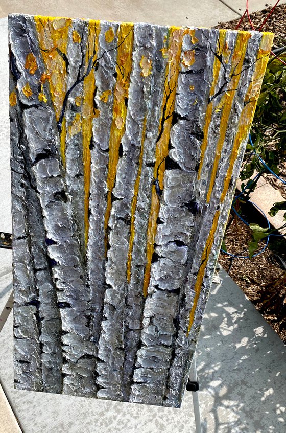 Textured  Thick Birch Trees