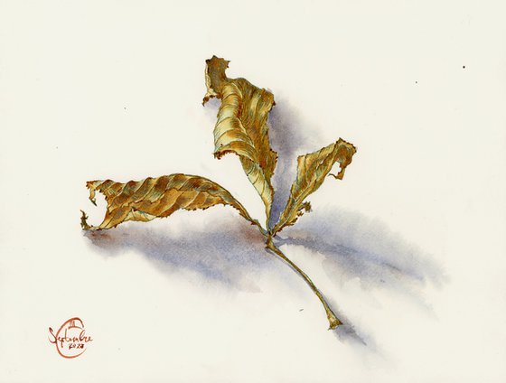 Still life with leaf. Details of nature