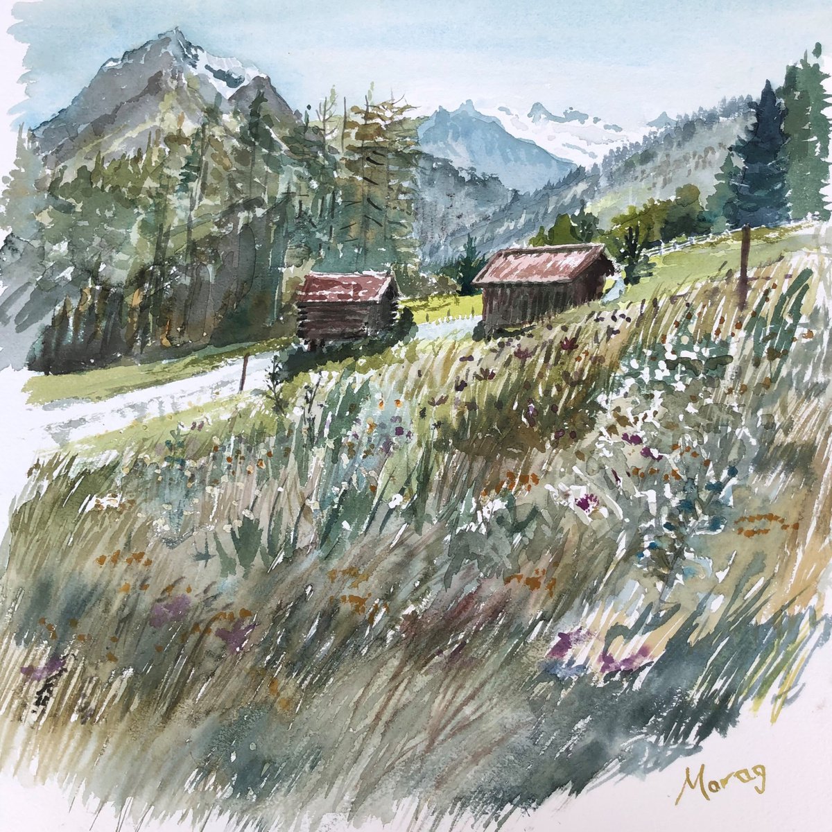 Alpine meadow - Telfeser Wiesen by Morag Paul