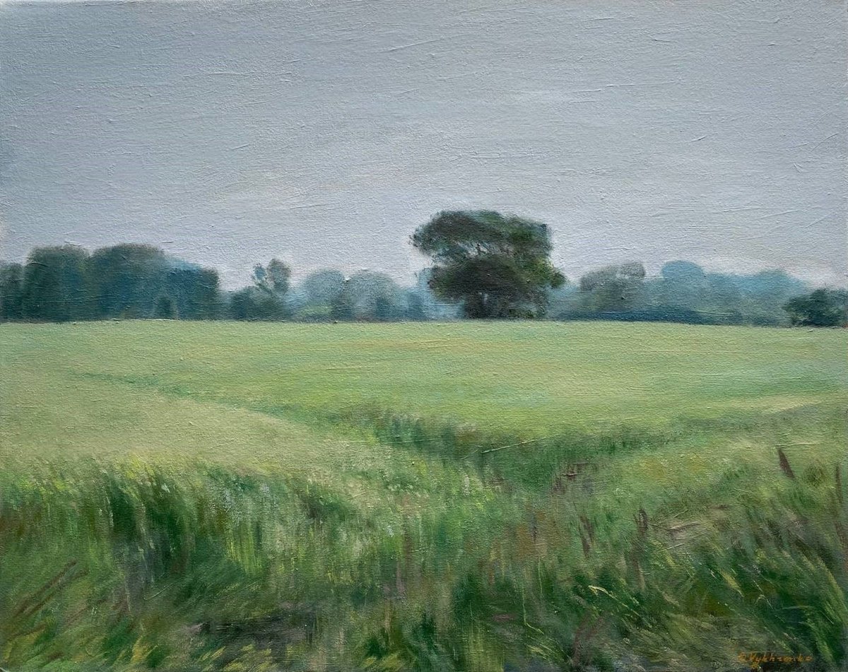 Impressionistic Landscape Oil Painting By Bohdan Vykhrenko, 20 X 16, Summer Field, Original Artwork
