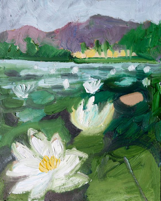 Waterlilies, Blea Tarn