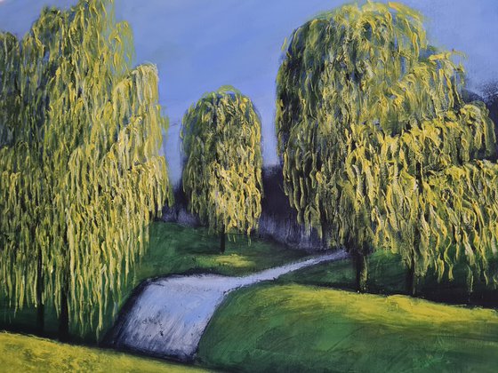 Willows in  Spring  -  Fields and Colors Series