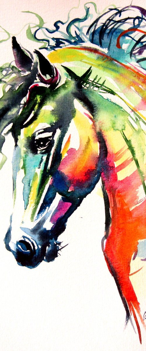 Colorful horse by Kovács Anna Brigitta