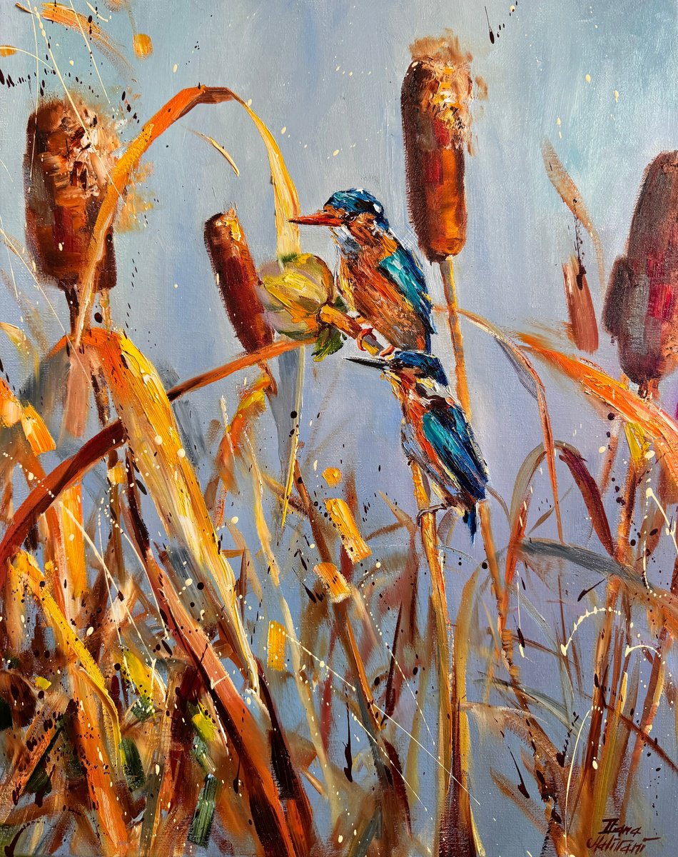 Kingfishers by Diana Malivani