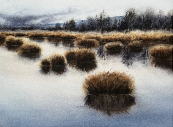 Moorlands I