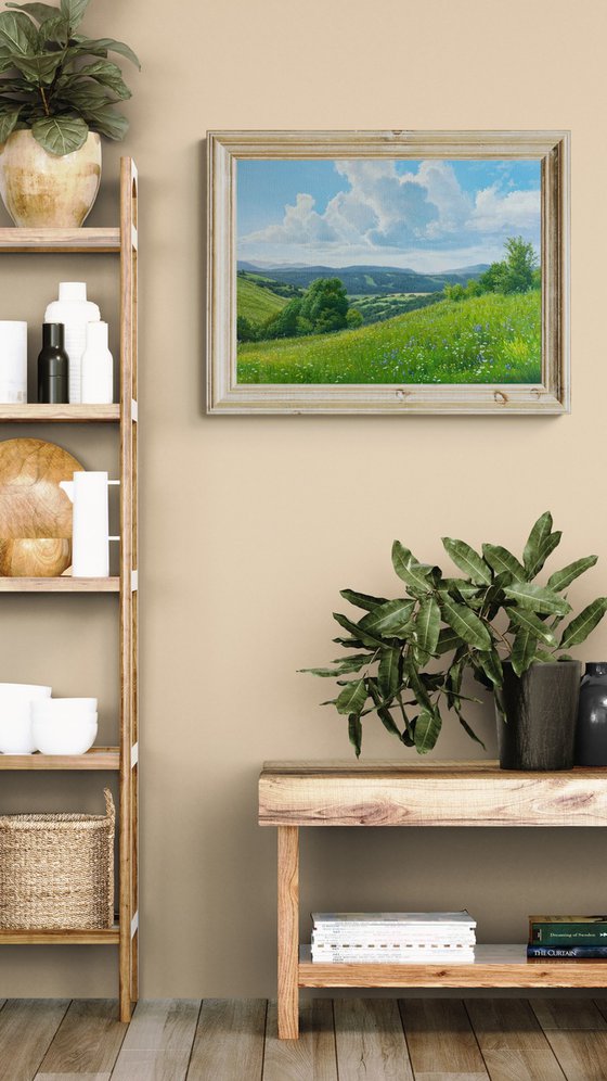 Meadows of early summer