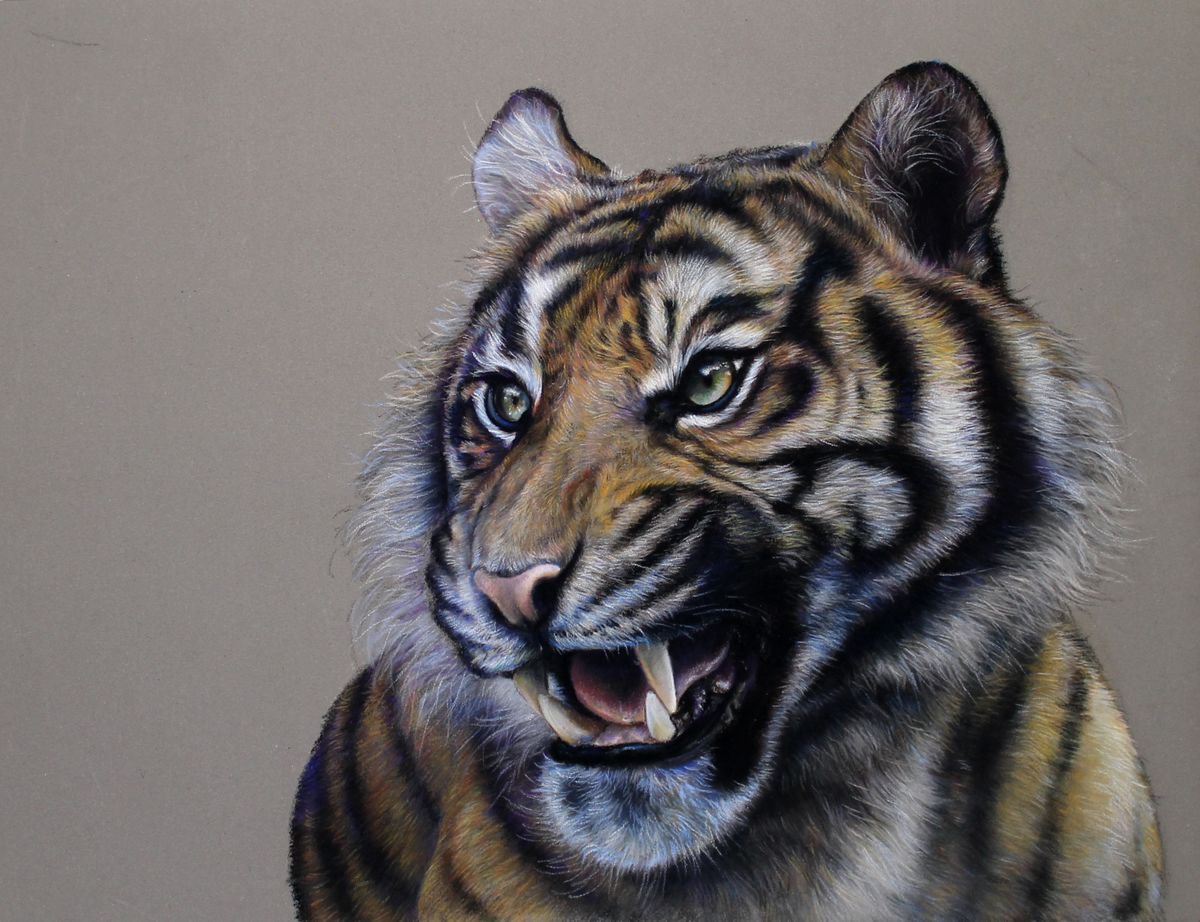 Roaring Tiger Pastel drawing by Tatjana Bril Artfinder