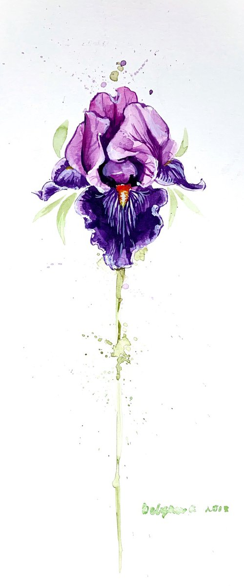 iris flower by Belyaeva Oleksandra