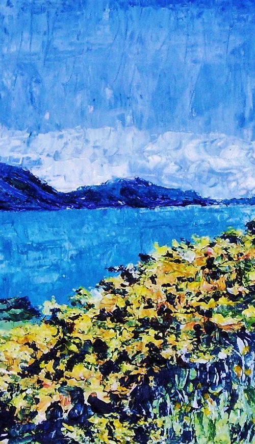 Gorse at Niarbyl by Max Aitken