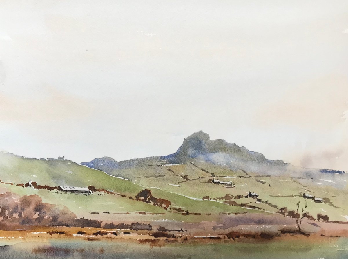 Mist rising on Carnedd Lleithr, St.Davids by Vicki Washbourne