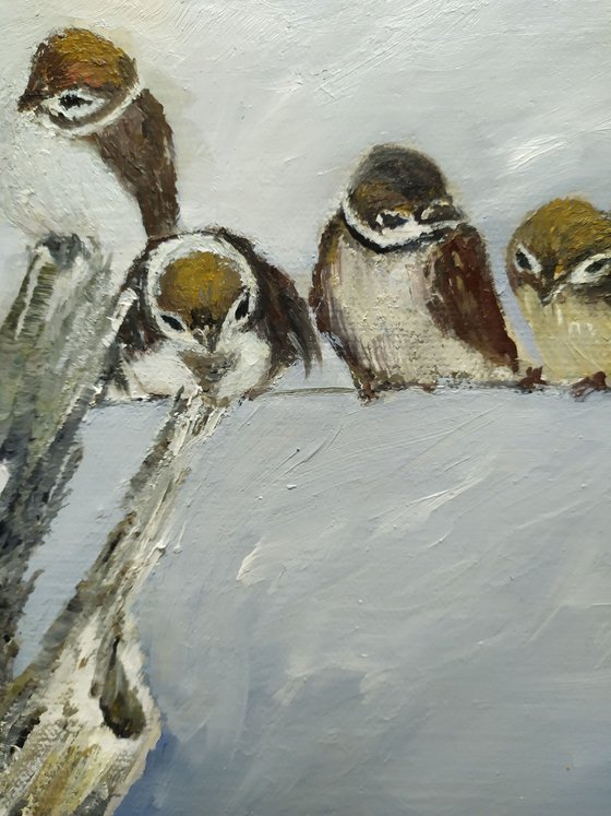 Sparrows