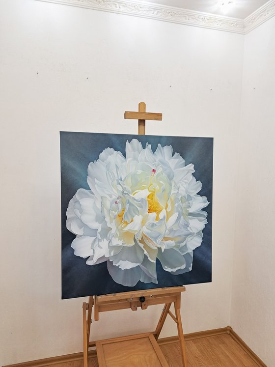 Snow-white peony