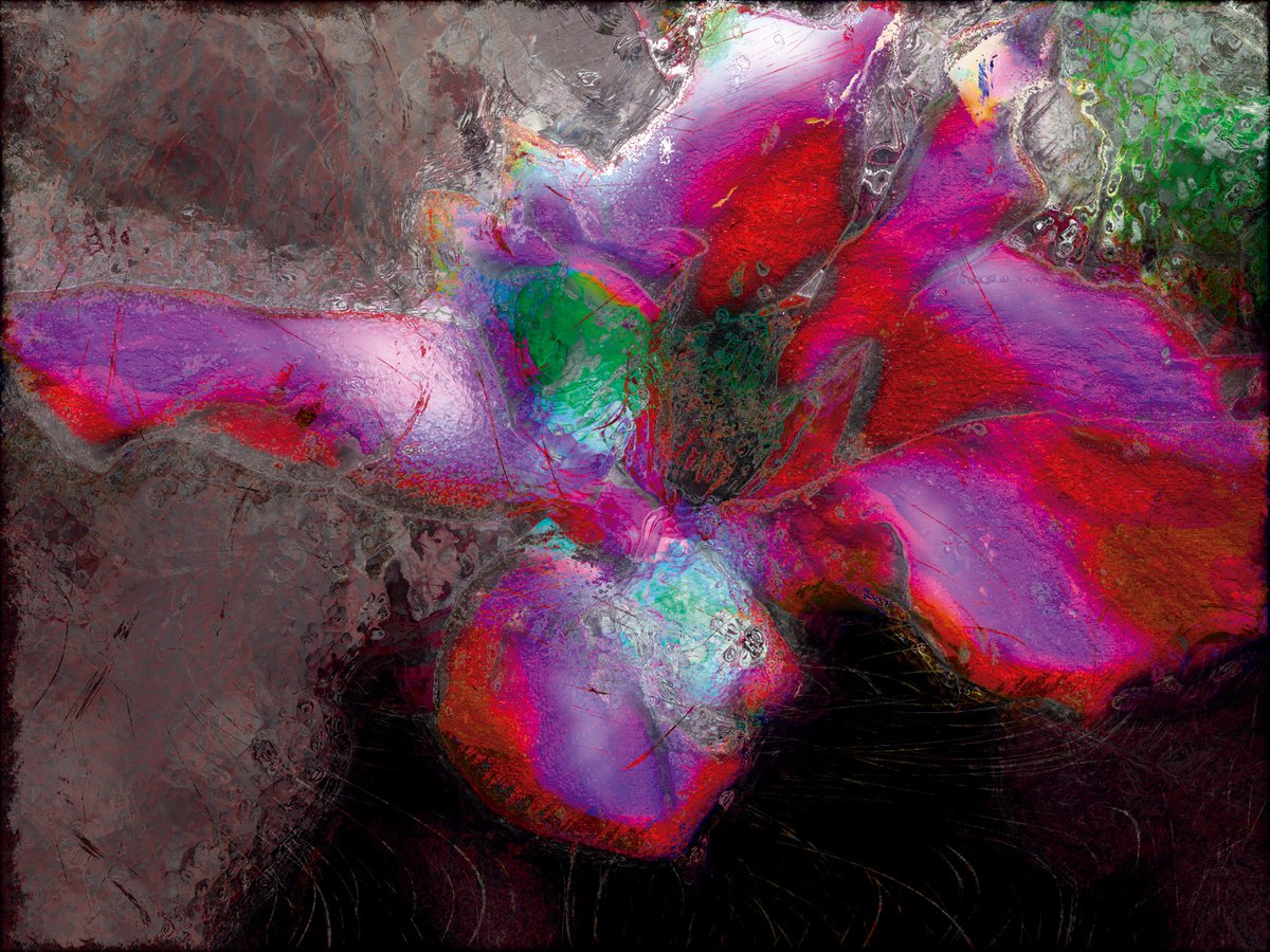 Abstract Botanical Print By Javier Diaz, 79 X 60, Metamorfosis 5/Xl Large Original Artwork, Original Artwork