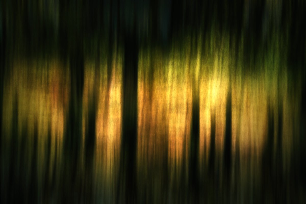 Abstract Photograph By Karim Carella, 45 X 31", Metsa? (Studio 2), Original Artwork