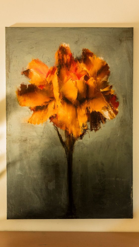 Codex (80x120)