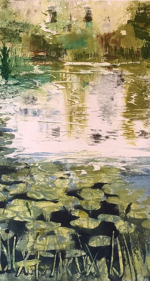 Lily pond by Amanda Averillo