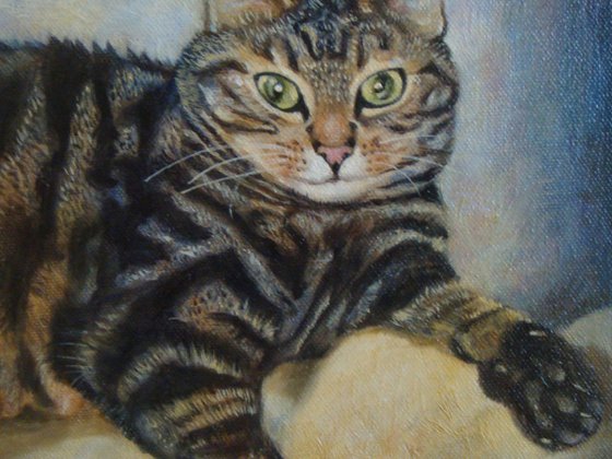Pet portraits (SOLD) - COMMISSIONS WELCOME