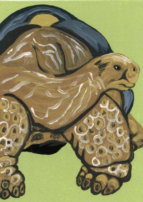 ACEO ATC Original Painting Galapagos Tortoise Wildlife Art-Carla Smale