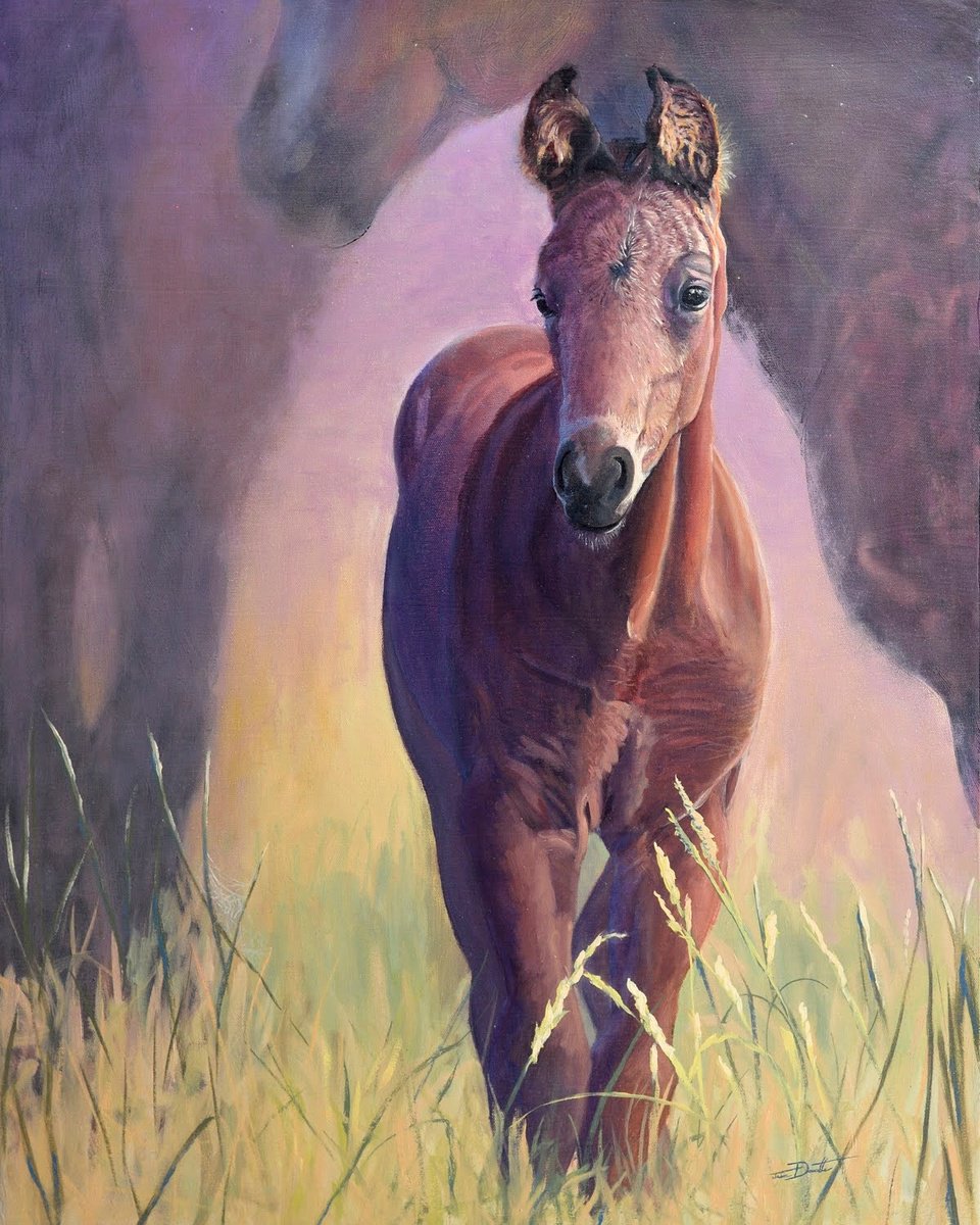 Photorealistic Animal Oil Painting By Jason Edward Doucette, 24 X 30, Safety In The Herd, Original Artwork