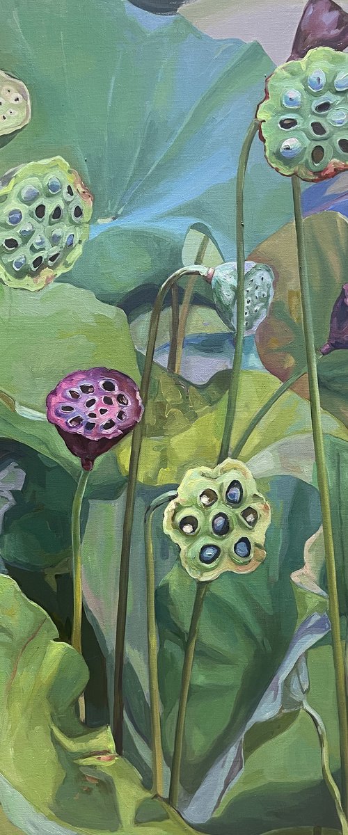 Lotus pond. Seeds pods. Old age by Guzel Min