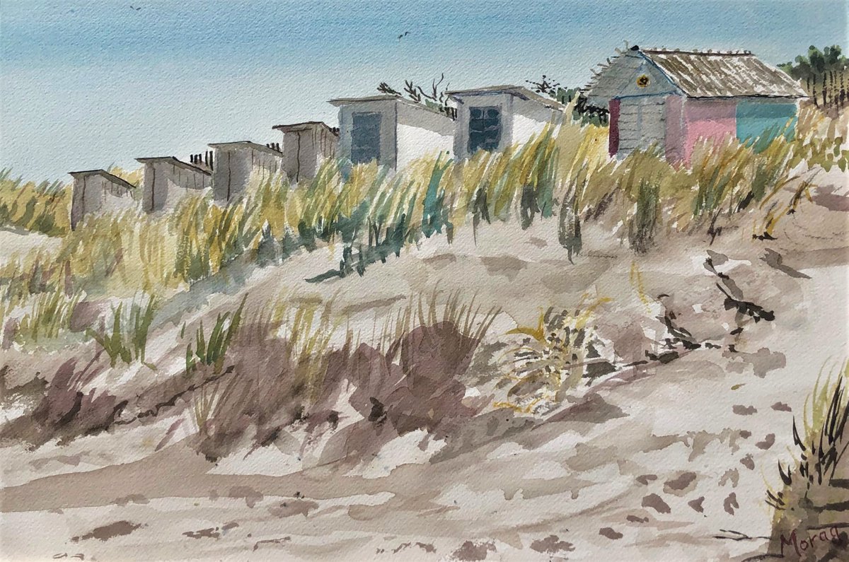Dune Life, Zeeland by Morag Paul