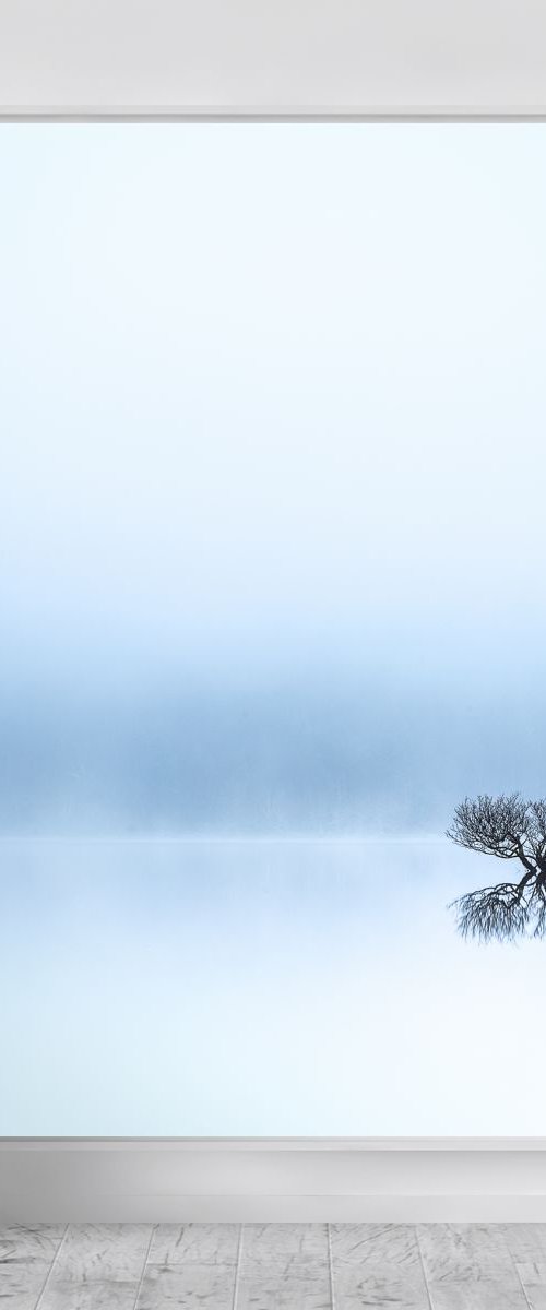 Lost in the Mist by Lynne Douglas