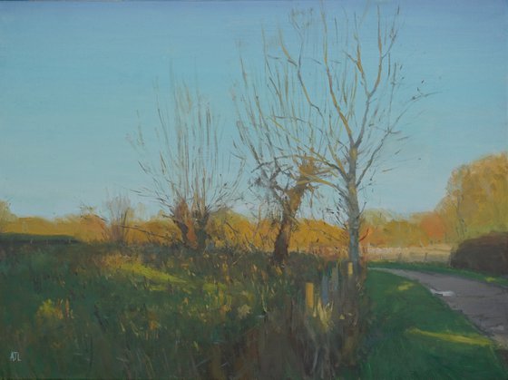 Autumn, Back Lane, Ducklington