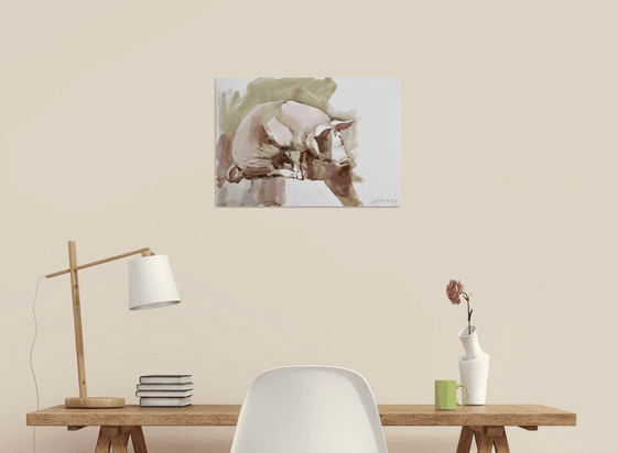 Ordinary pig