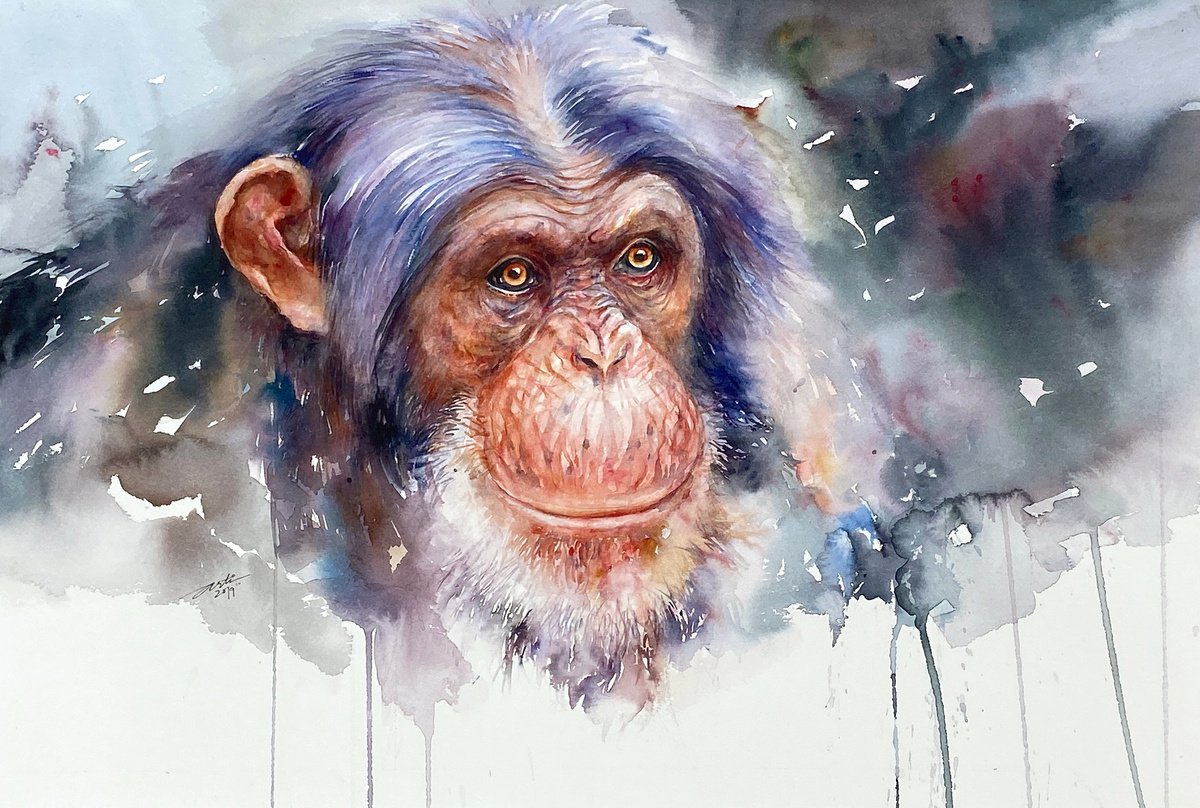 Impressionistic Animal Watercolour By Arti Chauhan, 20 X 14, Chimp Solomon, Original Artwork