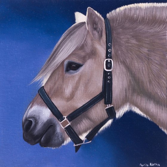 Horse portrait 93