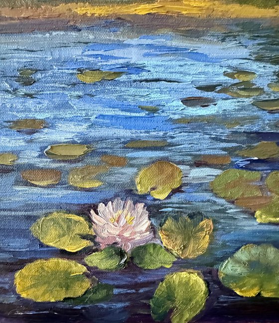 Lily pads at the lake