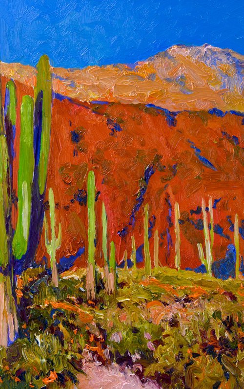 Saguaros and Desert Colors by Suren Nersisyan