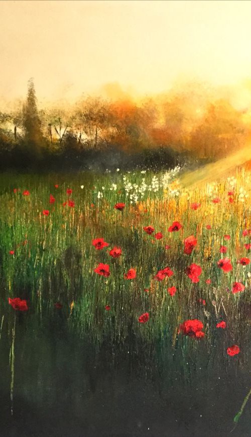 Poppies by Sunset by Kimberley  Harris