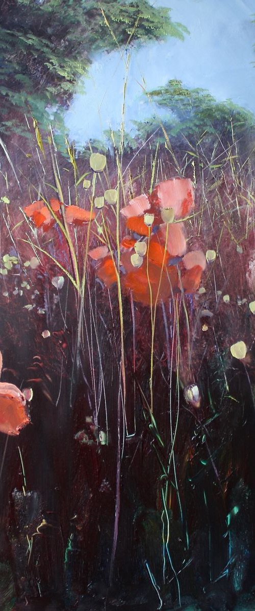 'Poppy Field Dawn' Poppies, Landscape, Oil Painting. by Simon Jones