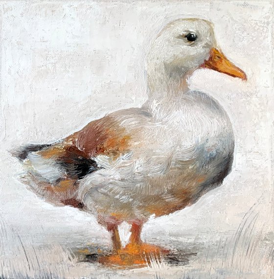 White Duck