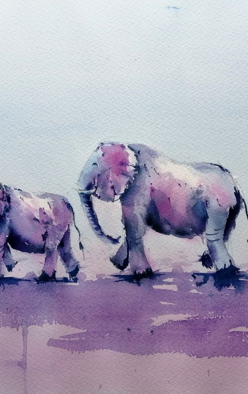 elephant 9 by Giorgio Gosti