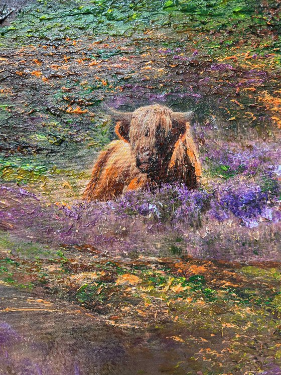 Highland Ember Twilight