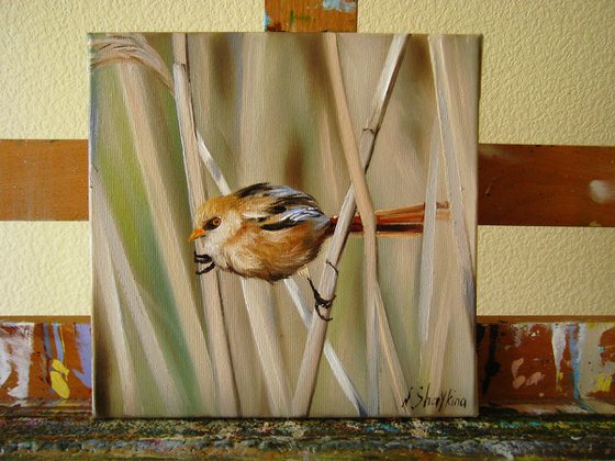 Bird Oil Painting Framed