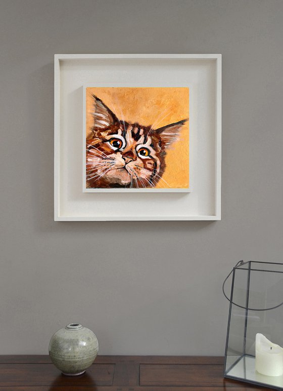 Tabby Cat