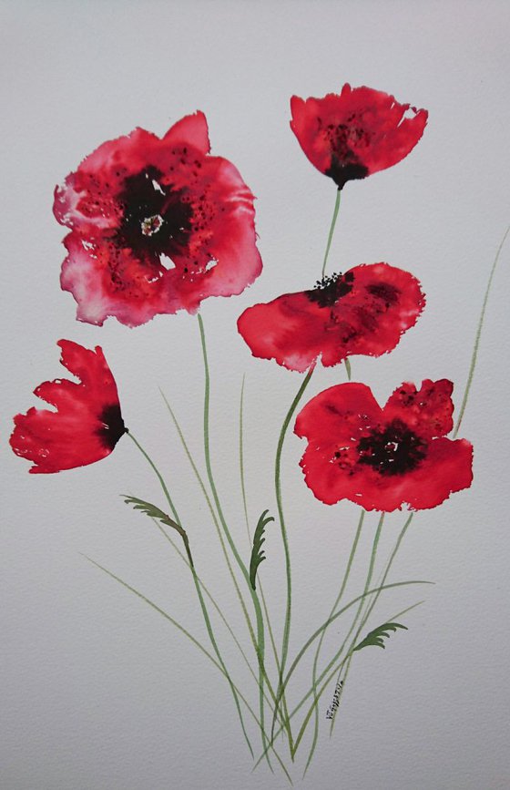 Bright RED poppies 16"x12"